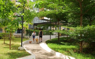 Why An Integrated Community Is Perfect For Your First Step Into Independent Living